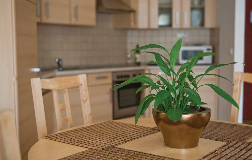 Bpm-Apartment Kiraly ブダペスト 部屋 写真